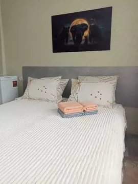 Студия Московская область, Истра Советская ул., 13к1 (20.0 м)