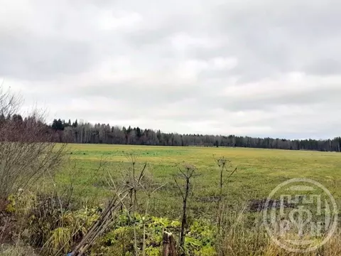 Участок в Ленинградская область, Выборгский район, Полянское с/пос, ...