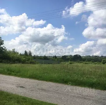 Участок в Белгородская область, Белгородский район, Никольское с/пос, ...