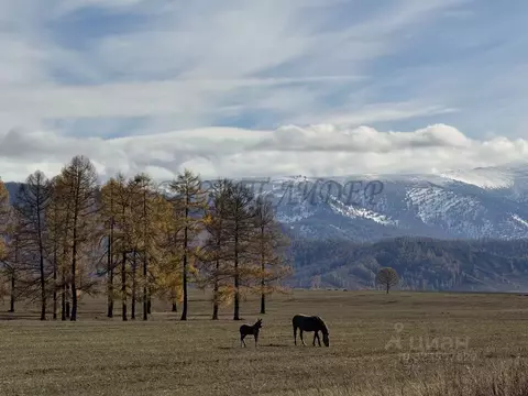 Дом в Алтай, Усть-Коксинский район, с. Горбуново  (35 м)