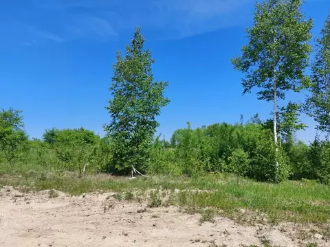 Участок в Хабаровский край, Хабаровский район, с. Сосновка Лесной пер. ...