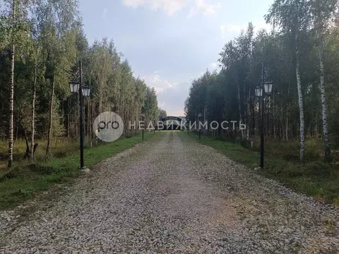 Участок в Рязанская область, Спасский район, Панинское с/пос, д. ...