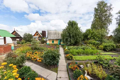 Дом в Тюменская область, Тюмень Ручеек СНТ, ул. Клубничная (60 м)