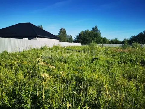 Участок в Тюменская область, Тюменский район, с. Перевалово  (10.17 ...