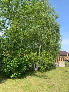 Участок в Тюменская область, Тюменский район, Боровский пгт ул. Новая ...