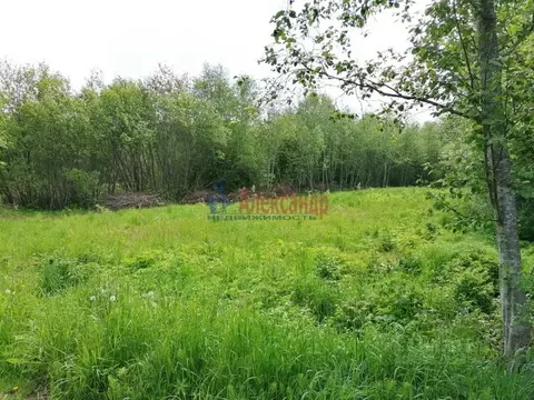 Участок в Ленинградская область, Волховский район, Колчановское с/пос, ...