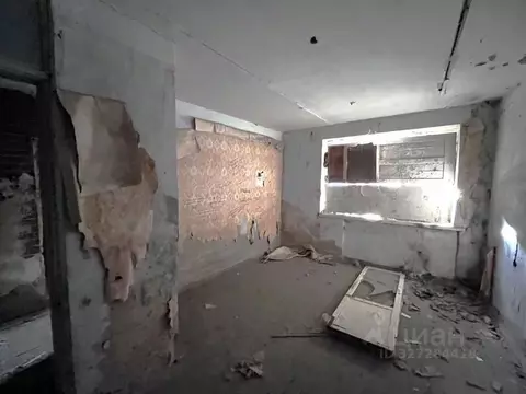 Помещение свободного назначения в Приморский край, Ольгинский ...