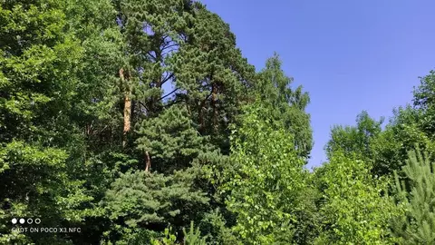 Участок, 12.5 сот., поселения (ижс)