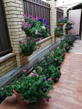 Дом в Орловская область, Орловский район, д. Овсянниково пер. ...