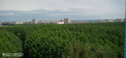 1-к кв. Удмуртия, Ижевск ул. Цветочная, 1 (32.0 м)