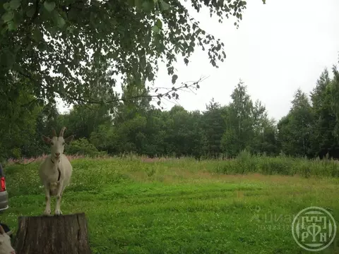 Участок в Ленинградская область, Лужский район, Ретюнское с/пос, д. ...