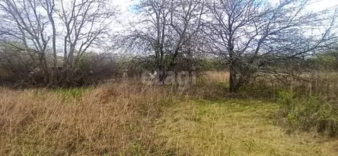 Участок в Белгородская область, Губкин Журавушка СТ, 165 (6.0 сот.)