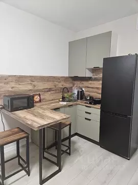 Студия Санкт-Петербург бул. Александра Грина, 4 (24.3 м)