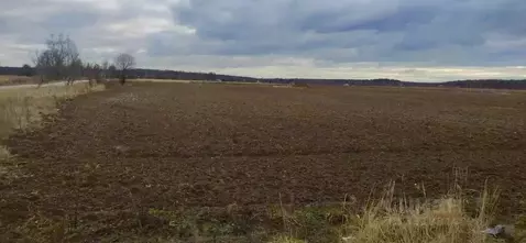 Участок в Московская область, Коломна городской округ, д. Воловичи  ...