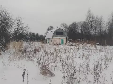 Участок в Псковская область, Островский район, Бережанская волость, ...