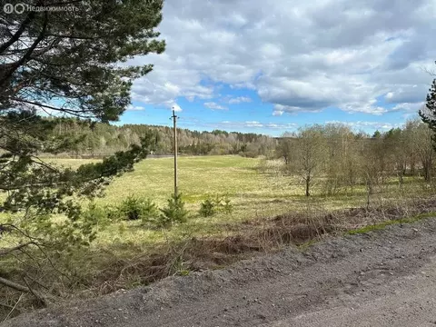 Участок в Выборгский район, Каменногорское городское поселение (3.44 ...