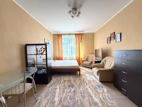 1-к кв. Санкт-Петербург просп. Просвещения, 99 (45.0 м)