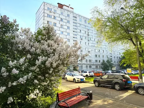 2-к кв. Московская область, Раменский муниципальный округ, Быково пгт ...