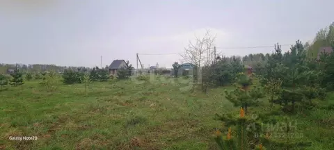 Участок в Брянская область, Брянский район, с. Домашово  (15.0 сот.)