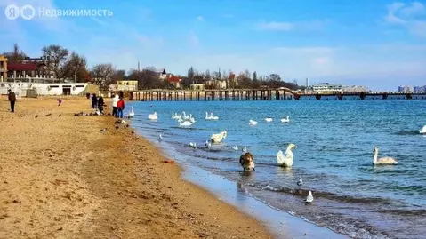 Участок в Сакский район, Штормовское сельское поселение, село Крыловка ...
