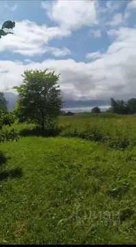 Участок в Владимирская область, Суздальский район, Селецкое ...