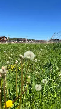 Продается участок в КП Новая Европа