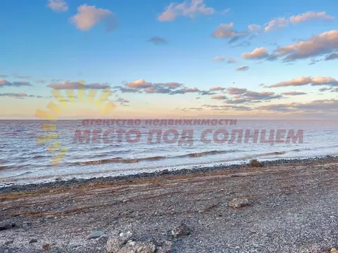 Участок в Краснодарский край, Ейский район, Александровское с/пос, ...