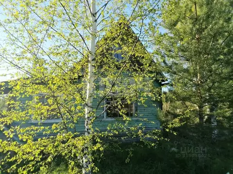 Дом в Вологодская область, Сокольский муниципальный округ, Сокольский ...