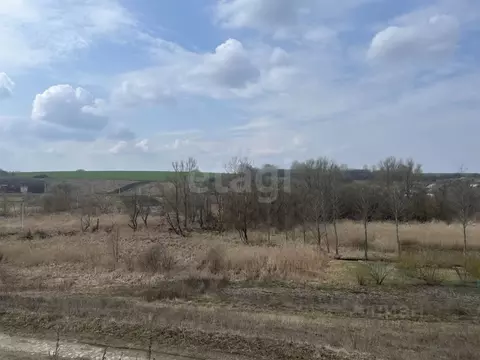 Участок в Белгородская область, Белгородский муниципальный округ, с. ...