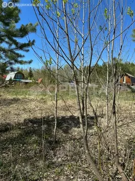 Участок в Тюменский муниципальный округ, СНТ Лесник-2, Транспортная ...