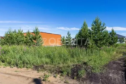 Участок в Тюменская область, Тюменский муниципальный округ, д. Елань, ...