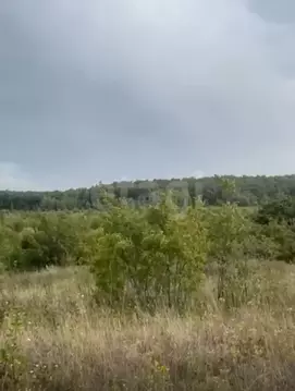 Участок в Саратовская область, Соколовый рп ул. Луговая (10.0 сот.)