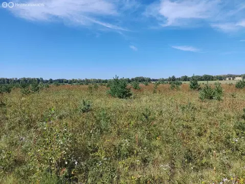 Участок в Большая Ирба, посёлок городского типа Большая Ирба (4.3 м)