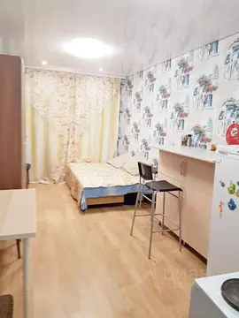 Студия Башкортостан, Уфимский район, с. Михайловка ул. Сливовая, 7 ...