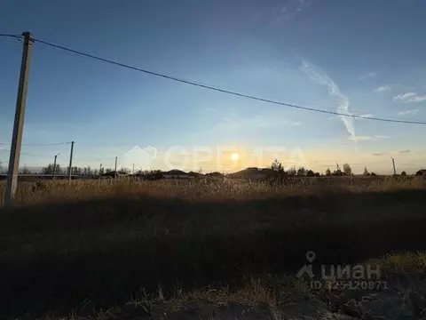 Участок в Тюменская область, Тюменский муниципальный округ, д. ...