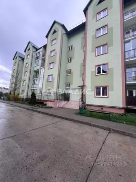 1-к кв. Калининградская область, Светлогорск ул. Спортивная, 6 (42.7 ...