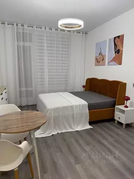 Студия Санкт-Петербург просп. Ветеранов, 214 (24.28 м)