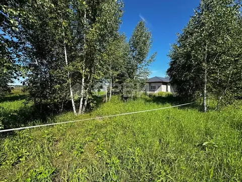 Участок в Тюменская область, Тюмень Салаирский тракт, 6-й км, 19 (4.66 ...