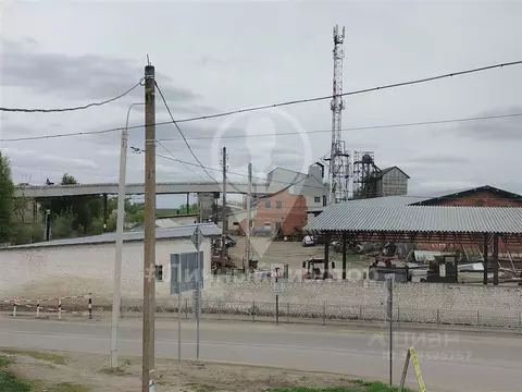 Производственное помещение в Рязанская область, Скопин ул. Пушкина, 82 ...