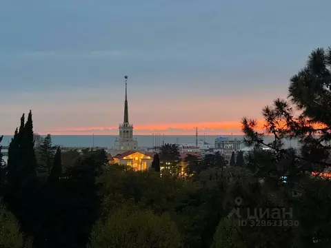 1-к кв. Краснодарский край, Сочи Центральный мкр, ул. Войкова, 20 ...