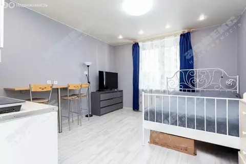 Квартира-студия: Санкт-Петербург, Русановская улица, 19к1 (27.3 м)