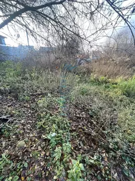 Участок в Нижегородская область, Нижний Новгород Агрономическая ул., ...