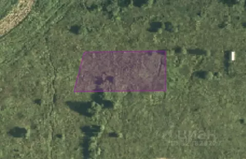 Участок в Москва д. Кузнецово, ул. Березовая (13.58 сот.)