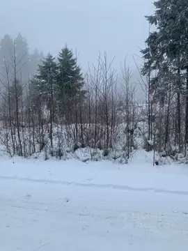 Участок в Ленинградская область, Выборгский район, Полянское с/пос, ...