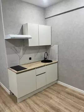 Студия Татарстан, Казань Октябрьская ул., 38 (19.0 м)