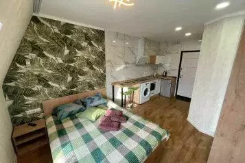 1-к кв. Алтайский край, Барнаул ул. Льва Толстого, 13А (20.0 м)