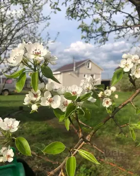 Дом в Владимирская область, Суздальский район, Павловское ...