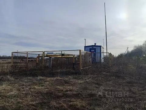 Участок в Ивановская область, Ивановский район, Беляницкое с/пос, д. ...