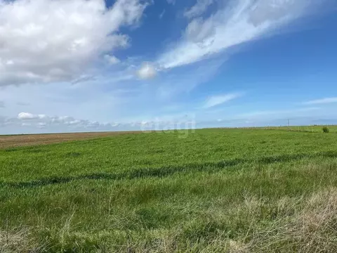 Участок в Крым, Ленинский район, Семисотское с/пос, с. Каменское ул. ...