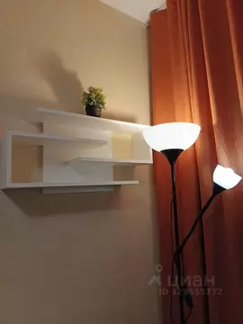 Студия Санкт-Петербург Политехническая ул., 6 (24.0 м)